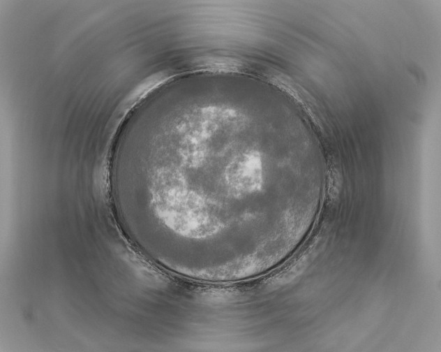 X0000112821074200909041510