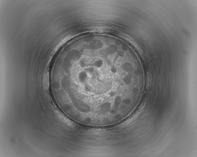 X0000112821075200909041510