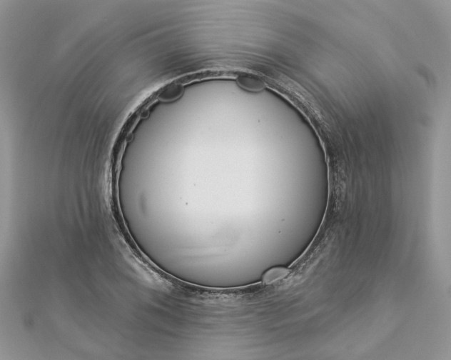 X0000112821076200909041510