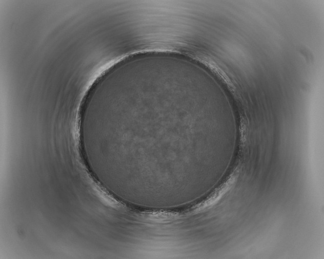 X0000112821077200909041510