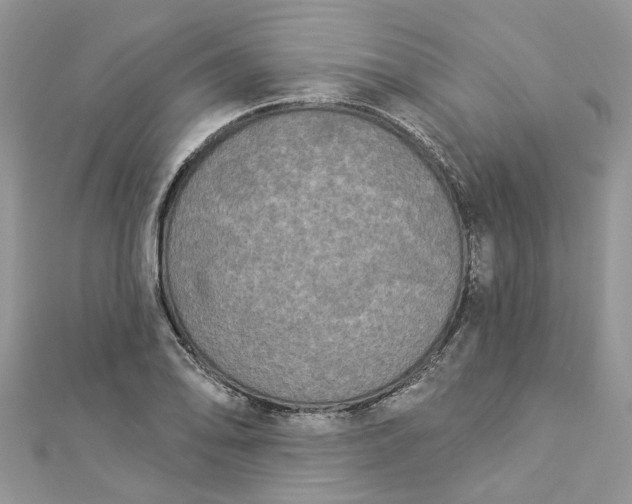 X0000112821078200909041510