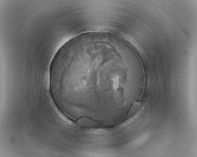 X0000112821079200909041510