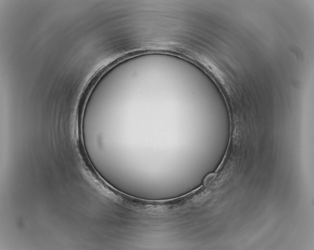 X0000112821080200909041510