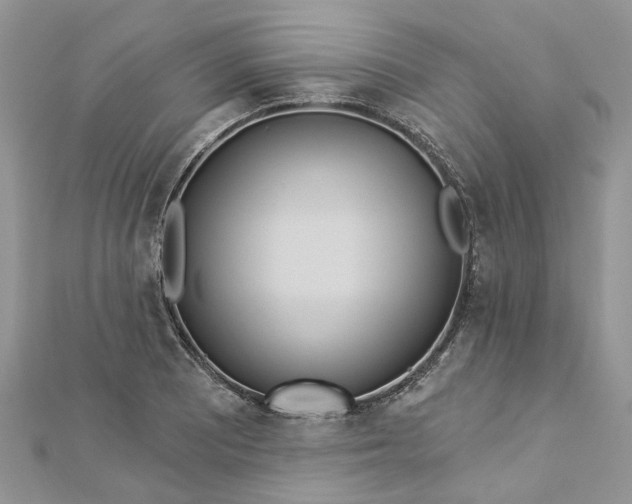 X0000112821081200909041510