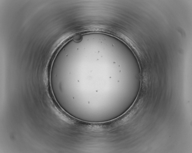 X0000112821082200909041510