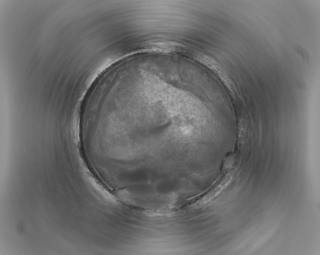 X0000112821083200909041510