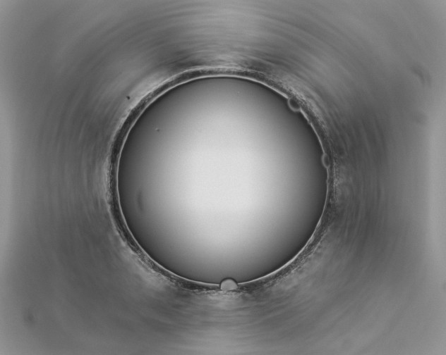 X0000112821085200909041509