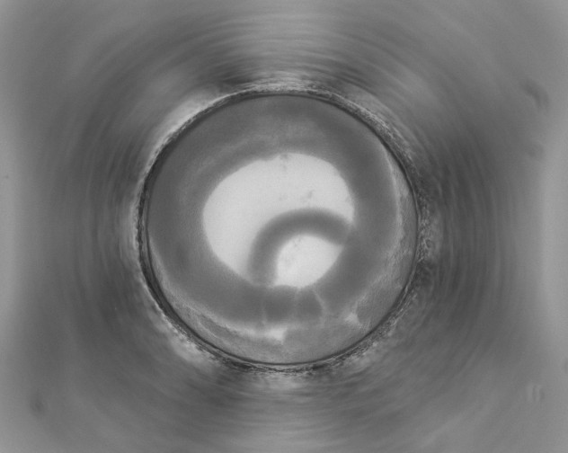 X0000112821086200909041509