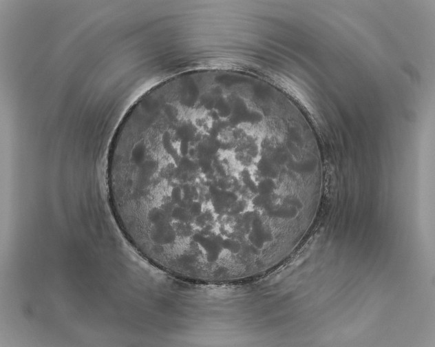 X0000112821087200909041509