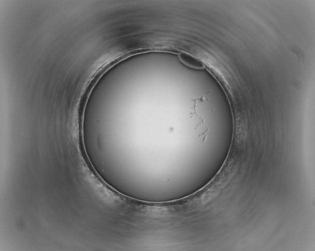 X0000112821088200909041509