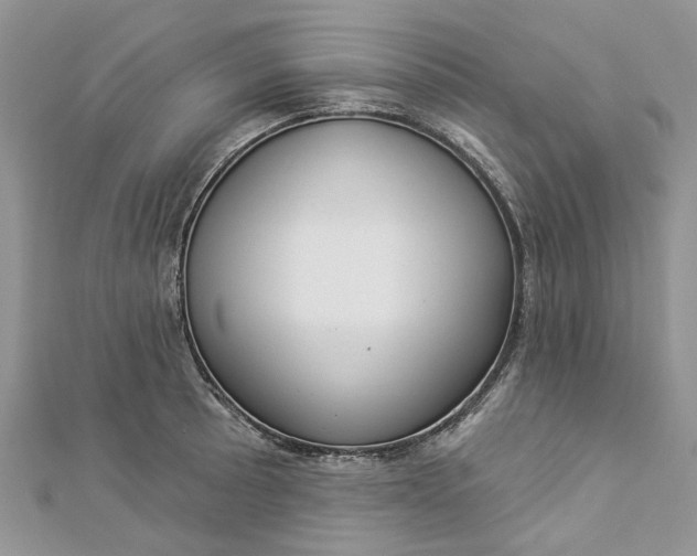 X0000112821089200909041509