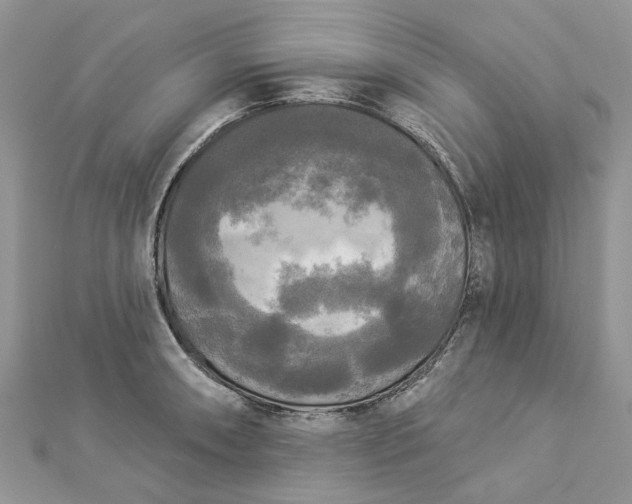 X0000112821090200909041509