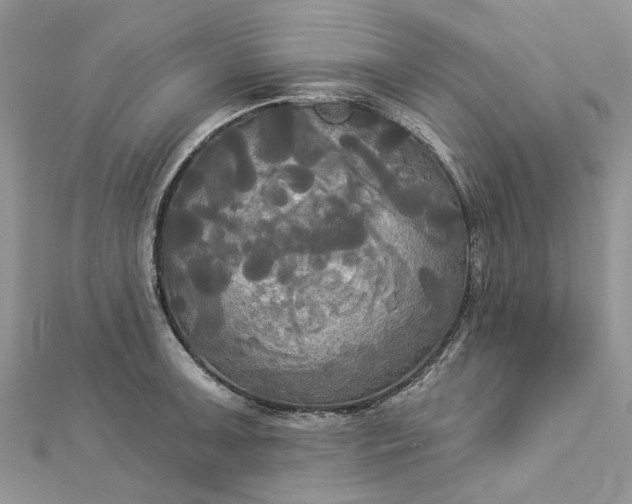 X0000112821091200909041509