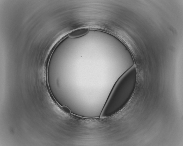 X0000112821092200909041509