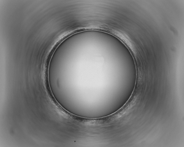 X0000112821093200909041509