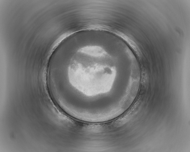 X0000112821094200909041509