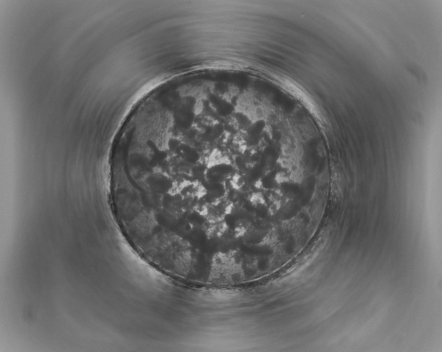 X0000112821095200909041509