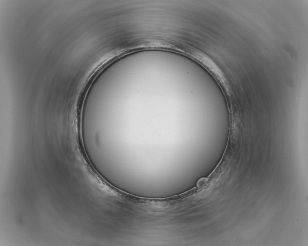 X0000112821096200909041509