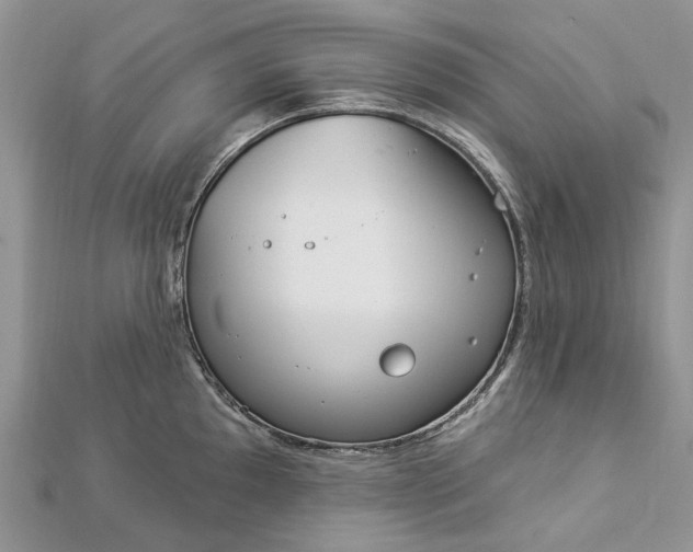 X0000112821097200909041509