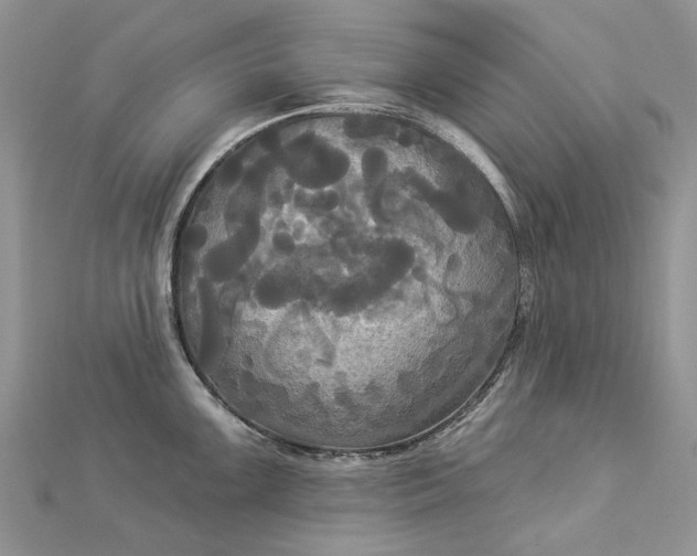 X0000112821099200909041509