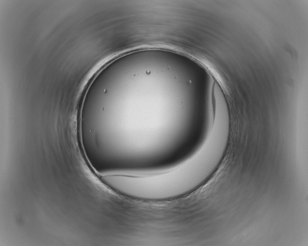 X0000112821100200909041509