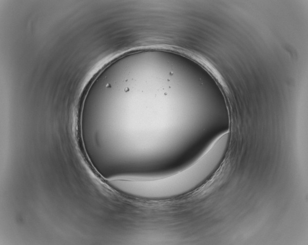 X0000112821101200909041509