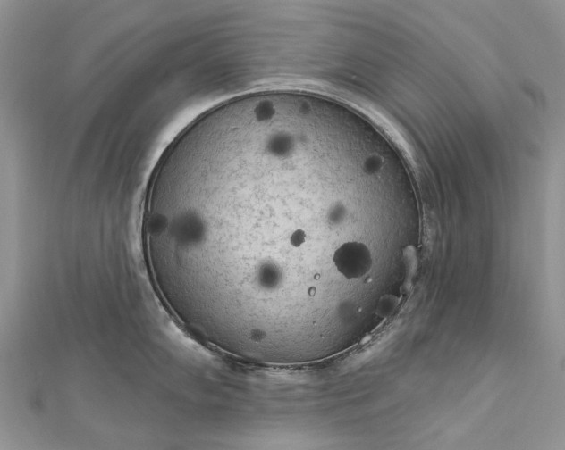 X0000112821102200909041509