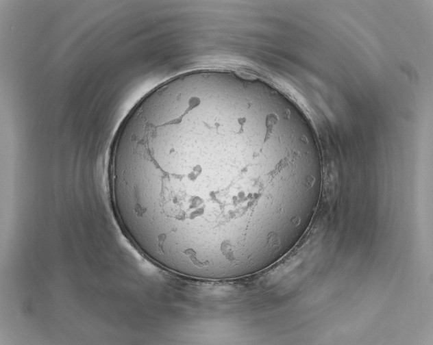 X0000112821103200909041509