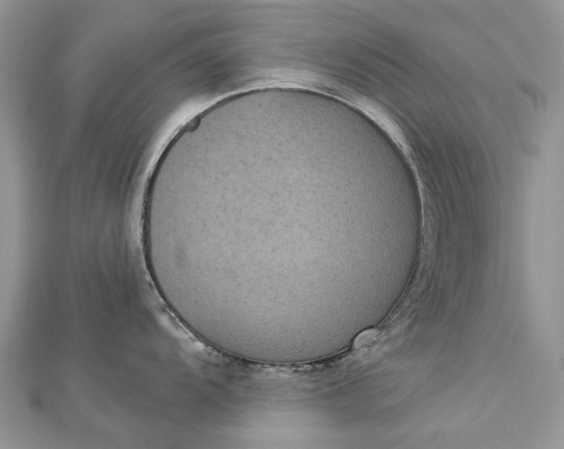 X0000112821104200909041509