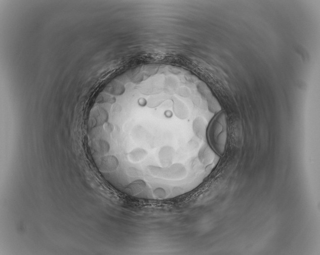 X0000112821105200909041509