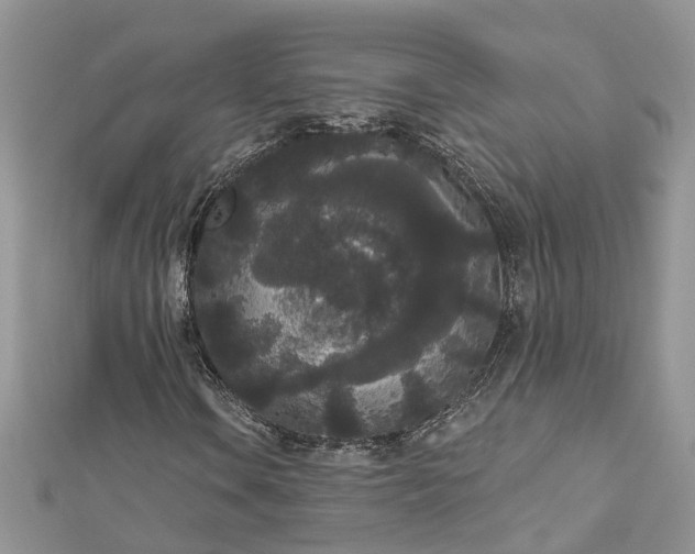 X0000112821106200909041509