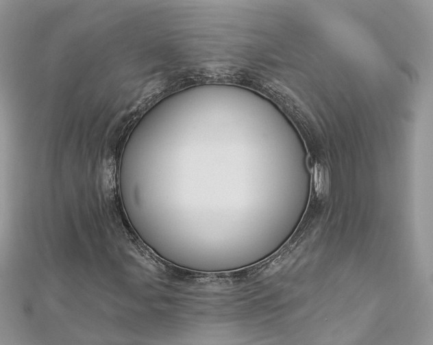 X0000112821107200909041509