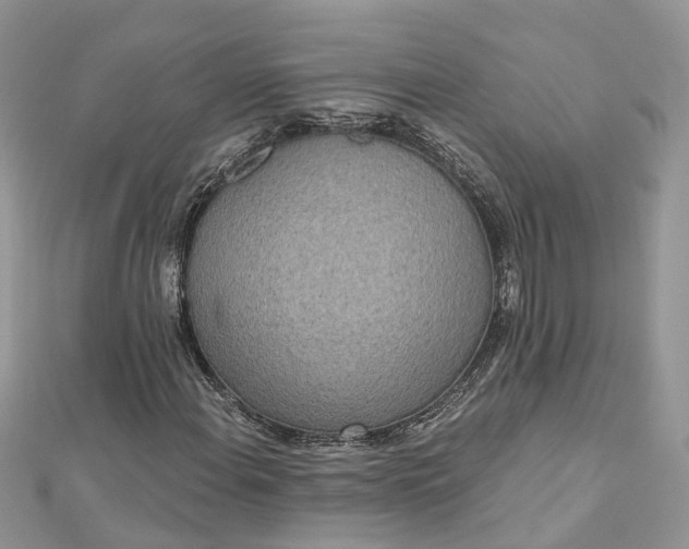 X0000112821108200909041509