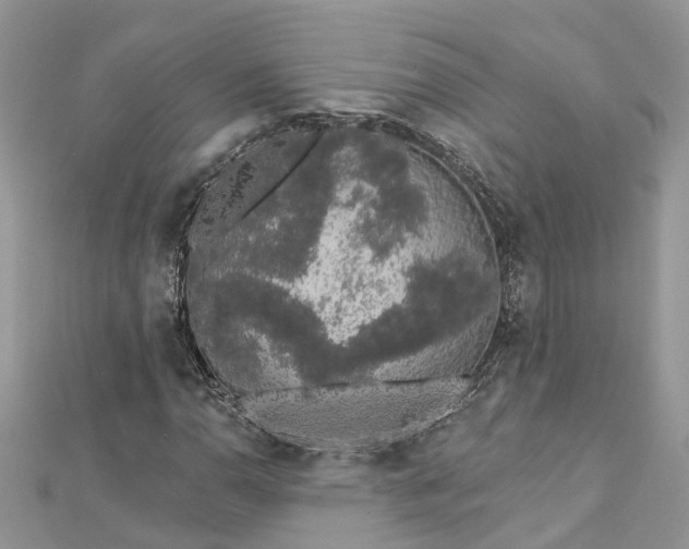 X0000112821110200909041509