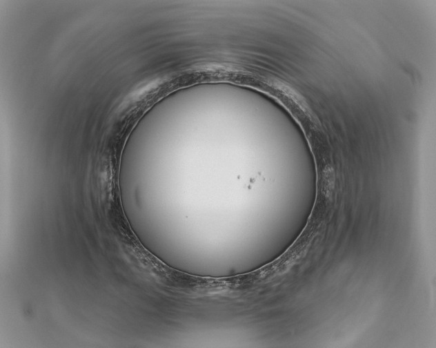 X0000112821111200909041509