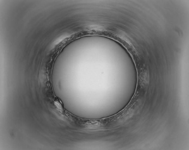 X0000112821112200909041509