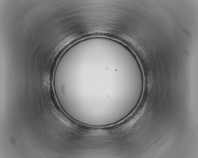 X0000112821113200909041509