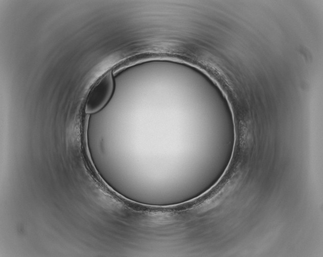 X0000112821114200909041509