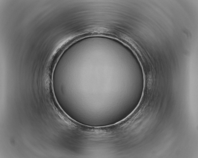 X0000112821115200909041509