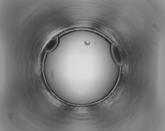 X0000112821116200909041509