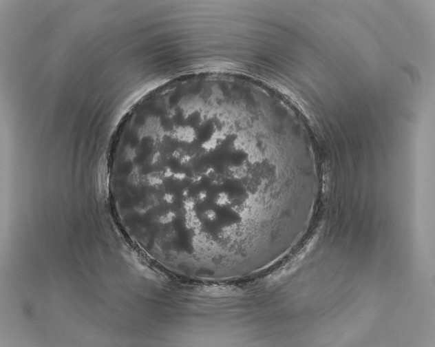 X0000112821117200909041509