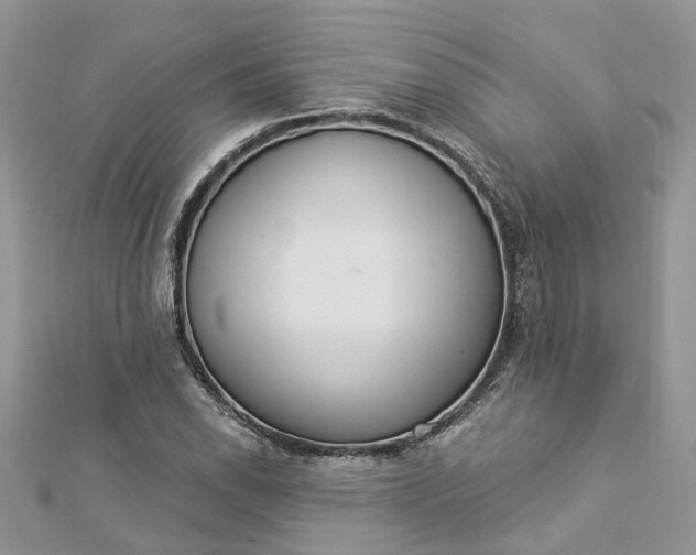 X0000112821118200909041509