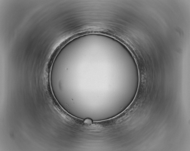 X0000112821119200909041509