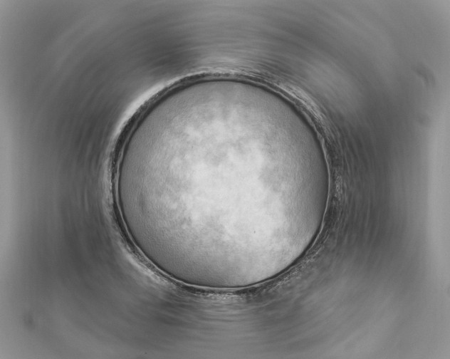 X0000112821120200909041509