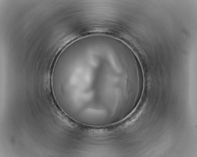 X0000112821121200909041509