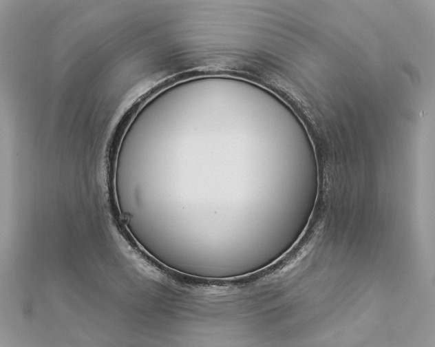 X0000112821122200909041509