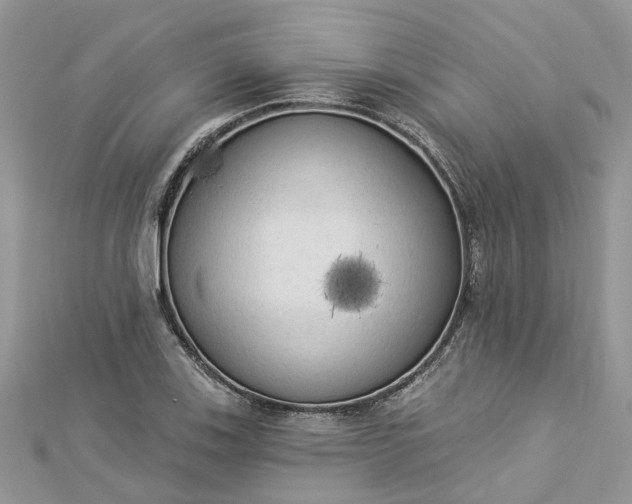 X0000112821123200909041509