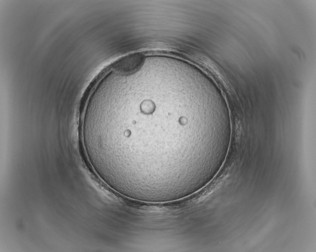 X0000112821124200909041509