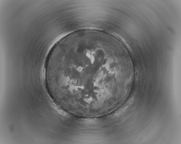 X0000112821125200909041509