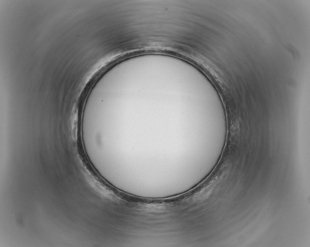 X0000112821126200909041509